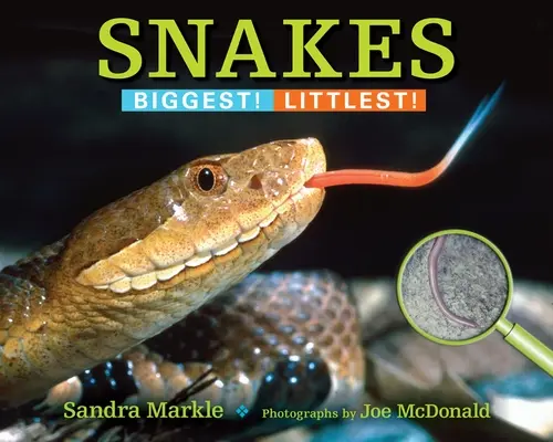 Șerpii: Cel mai mare! Cel mai mic! - Snakes: Biggest! Littlest!