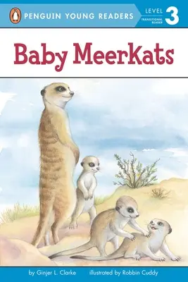 Pui de suricate - Baby Meerkats