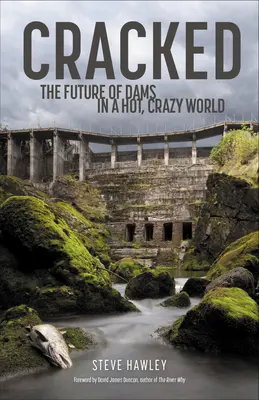 Cracked: Viitorul barajelor într-o lume fierbinte și haotică - Cracked: The Future of Dams in a Hot, Chaotic World