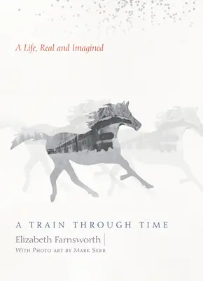 Un tren prin timp - O viață reală și imaginară - Train Through Time - A Life, Real and Imagined