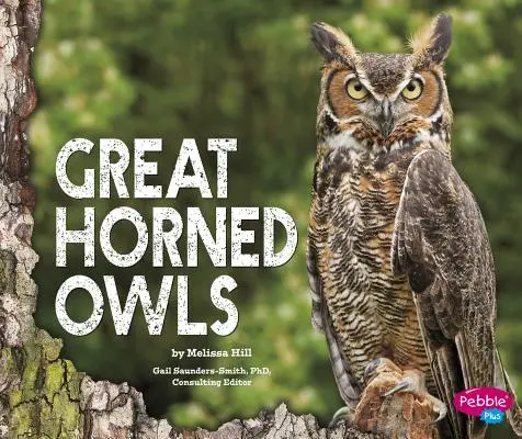 Bufnițe cu coarne mari - Great Horned Owls