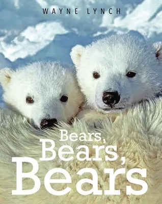Urși, urși, urși - Bears, Bears, Bears