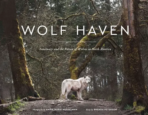 Wolf Haven: Sanctuarul și viitorul lupilor în America de Nord - Wolf Haven: Sanctuary and the Future of Wolves in North America