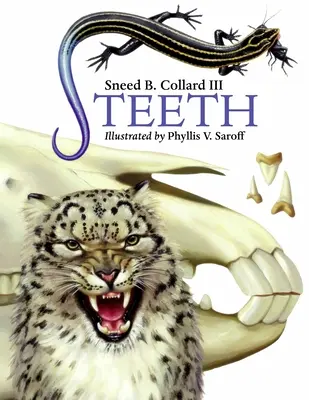 Dinți - Teeth