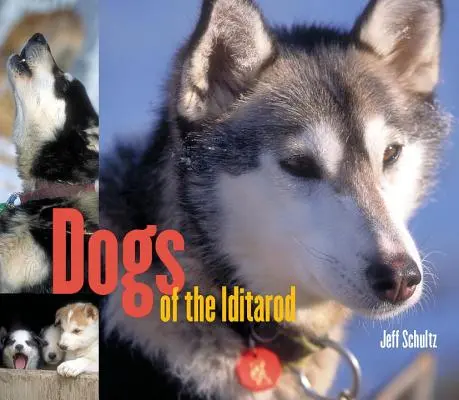 Câinii din Iditarod - Dogs of the Iditarod
