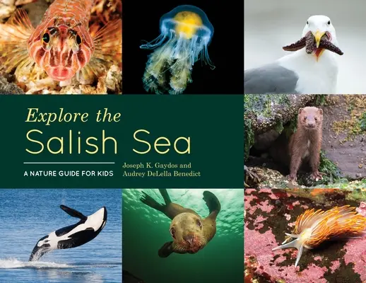 Explore the Salish Sea: Un ghid de natură pentru copii - Explore the Salish Sea: A Nature Guide for Kids