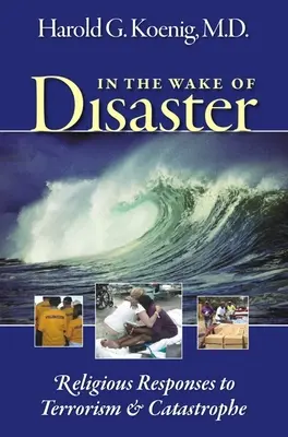 În urma dezastrelor: Răspunsuri religioase la terorism și catastrofă - In the Wake of Disaster: Religious Responses to Terrorism & Catastrophe