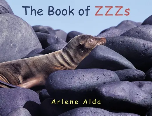 Cartea ZZZs - The Book of ZZZs