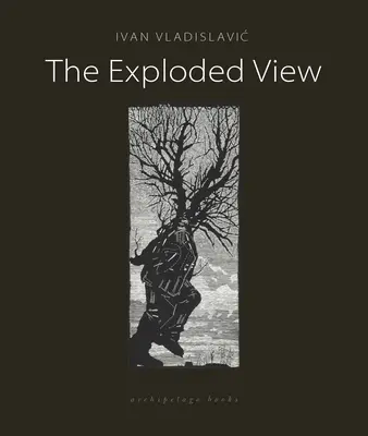Vedere explodată - The Exploded View
