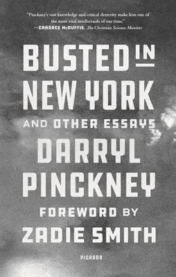 Busted in New York și alte eseuri - Busted in New York and Other Essays