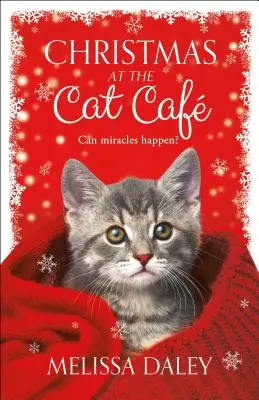 Crăciunul la Cat Caf - Christmas at the Cat Caf