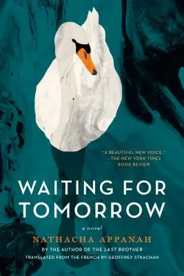 Așteptând ziua de mâine - Waiting for Tomorrow