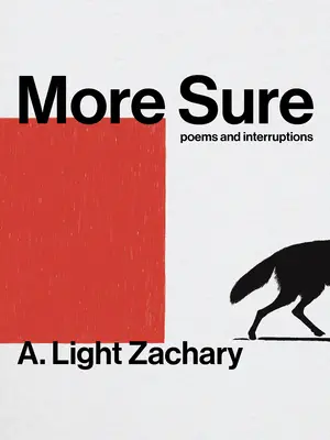 Mai sigur - More Sure