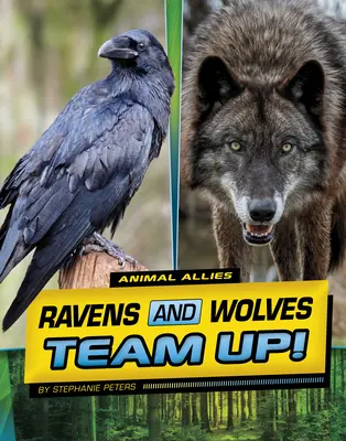 Corbii și lupii fac echipă! - Ravens and Wolves Team Up!