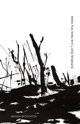 Echidnas Don't Live Here Any More: Poezii despre pierdere și recuperare de la incendiile Black Summer - Echidnas Don't Live Here Any More: Poems of loss and recovery since the Black Summer bushfires