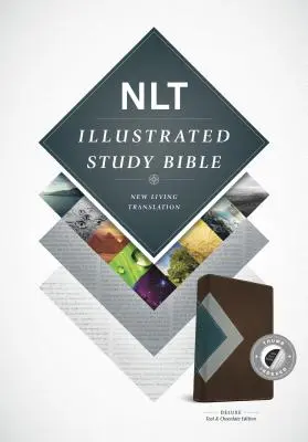 Biblia de studiu ilustrată-NLT - Illustrated Study Bible-NLT