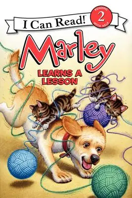 Marley învață o lecție - Marley Learns a Lesson