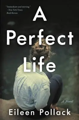 O viață perfectă - A Perfect Life