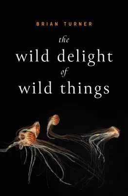 Deliciul sălbatic al lucrurilor sălbatice - The Wild Delight of Wild Things