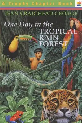 O zi în pădurea tropicală - One Day in the Tropical Rain Forest