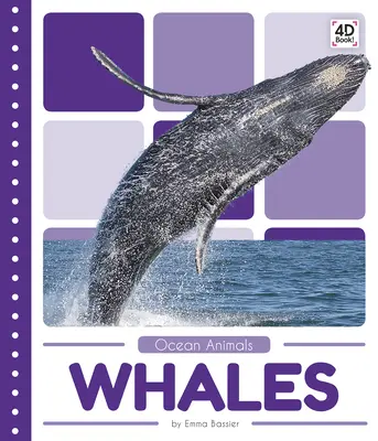 Balene - Whales