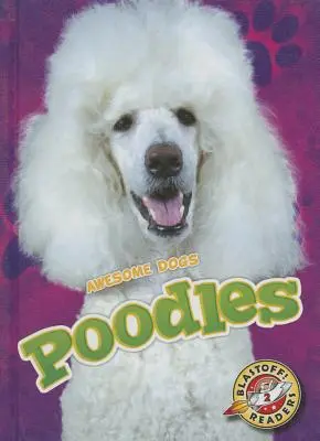 pudeli - Poodles