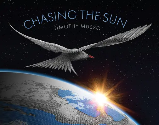 Urmărind soarele - Chasing the Sun