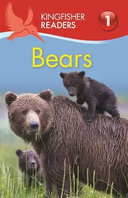 Urși - Bears