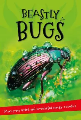 Totul despre . . . Insecte bestiale: Tot ce vreți să știți despre minibestie într-o singură carte uimitoare - It's All about . . . Beastly Bugs: Everything You Want to Know about Minibeasts in One Amazing Book