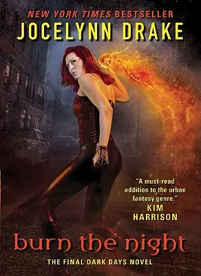 Burn the Night: The Final Dark Days Roman - Burn the Night: The Final Dark Days Novel