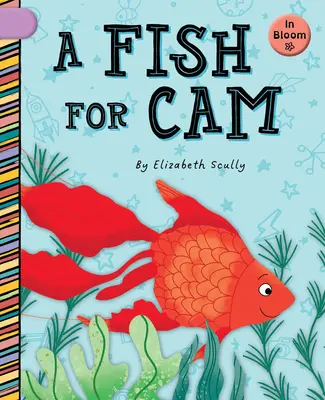 Un pește pentru CAM - A Fish for CAM