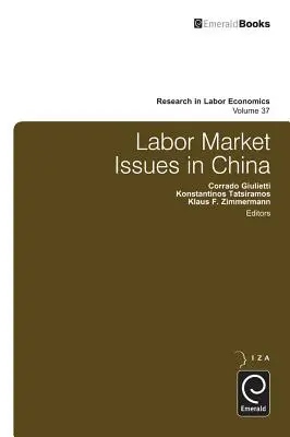 Problemele pieței muncii în China - Labor Market Issues in China