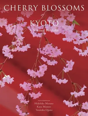 Flori de cireș din Kyoto: Un portofoliu sezonier - Cherry Blossoms of Kyoto: A Seasonal Portfolio