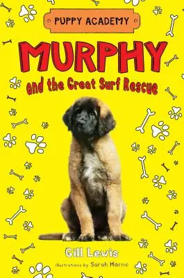 Murphy și marea salvare la surf - Murphy and the Great Surf Rescue