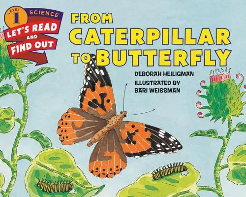 De la omidă la fluture - From Caterpillar to Butterfly