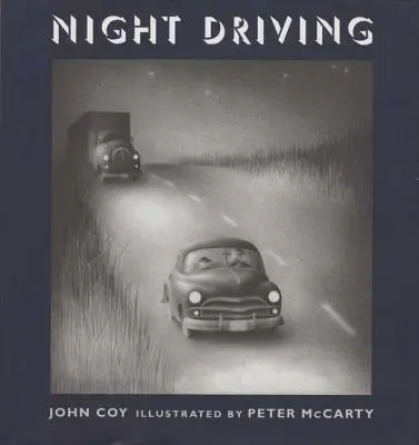 Conducerea de noapte - Night Driving
