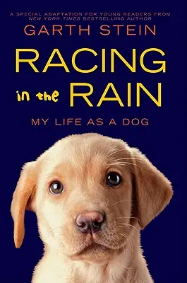 Curse în ploaie: Viața mea ca un câine - Racing in the Rain: My Life as a Dog