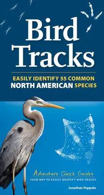 Urme de păsări: Include 55 de specii din America de Nord - Bird Tracks: Includes 55 North American Species
