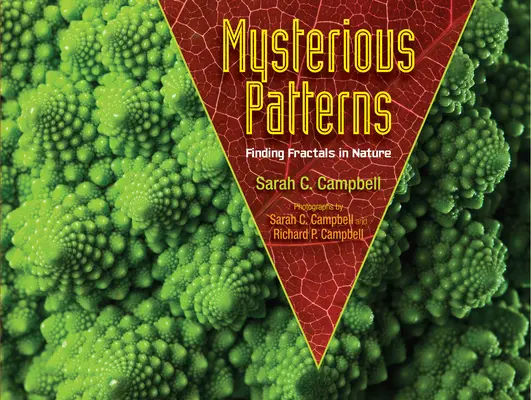 Modele misterioase: Găsirea fractalelor în natură - Mysterious Patterns: Finding Fractals in Nature
