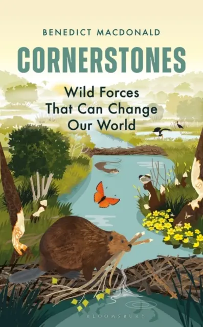 Cornerstones - Forțele sălbatice care ne pot schimba lumea - Cornerstones - Wild Forces That Can Change Our World