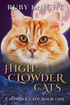 Pisicile din High Clowder - High Clowder Cats