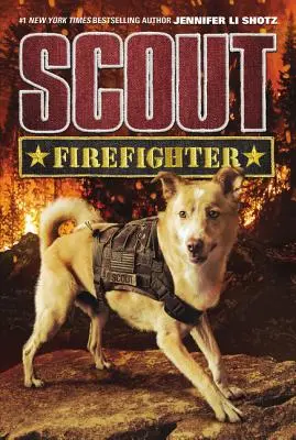 Cercetaș: Pompier - Scout: Firefighter