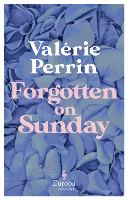 Forgotten on Sunday - De la autorul bestsellerului de un milion de exemplare Fresh Water for Flowers - Forgotten on Sunday - From the million copy bestselling author of Fresh Water for Flowers