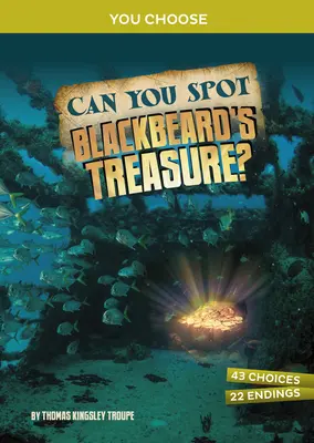 Poți descoperi comoara lui Barbă Neagră?: O aventură interactivă a comorii - Can You Spot Blackbeard's Treasure?: An Interactive Treasure Adventure