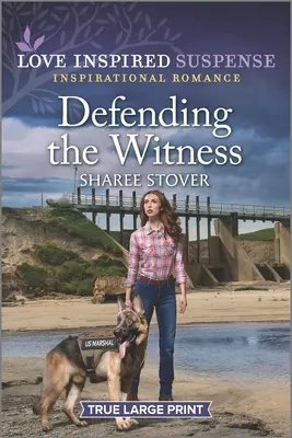 Apărarea martorului - Defending the Witness