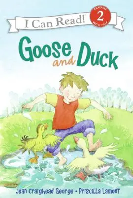 Goose și Duck - Goose and Duck