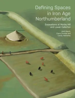 Definirea spațiilor în Northumberland în epoca fierului: Excavații la Morley Hill și Lower Callerton - Defining Spaces in Iron Age Northumberland: Excavations at Morley Hill and Lower Callerton