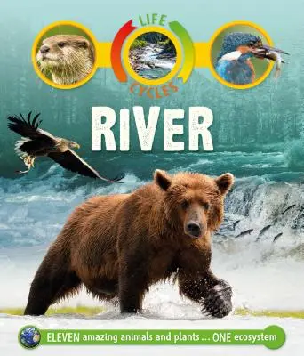 Cicluri de viață: Râu - Life Cycles: River