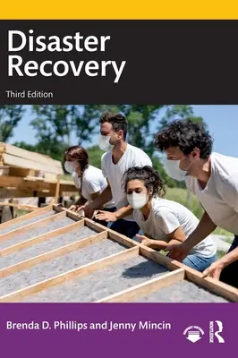 Recuperarea în caz de dezastre - Disaster Recovery