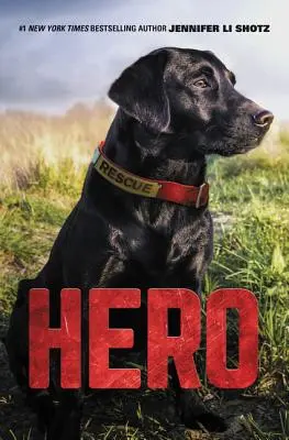 Erou - Hero